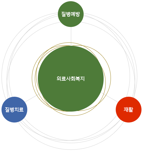 의료사회복지:질병예방, 질병치료, 재활